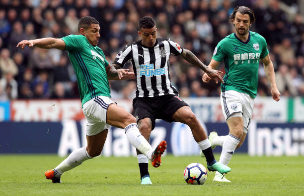 卡罗尔已经 卡罗尔已经